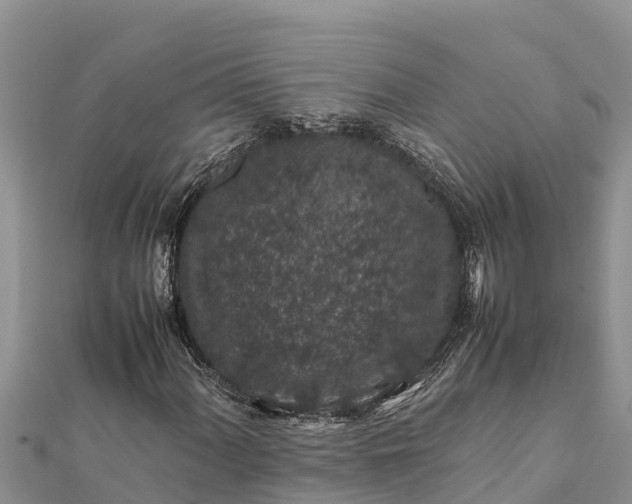 X0000112111060200908181342