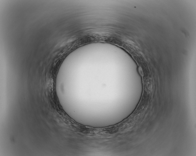 X0000112111061200908181342