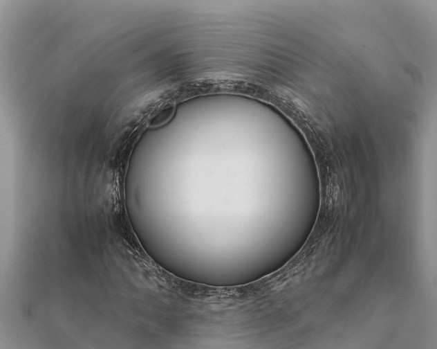 X0000112111062200908181342