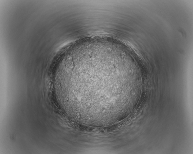 X0000112111063200908181342