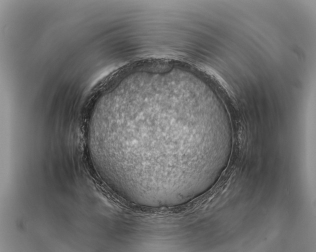 X0000112111064200908181342