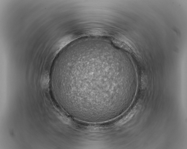 X0000112111065200908181342