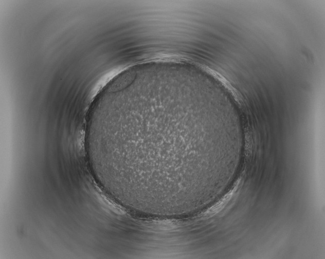 X0000112111066200908181342