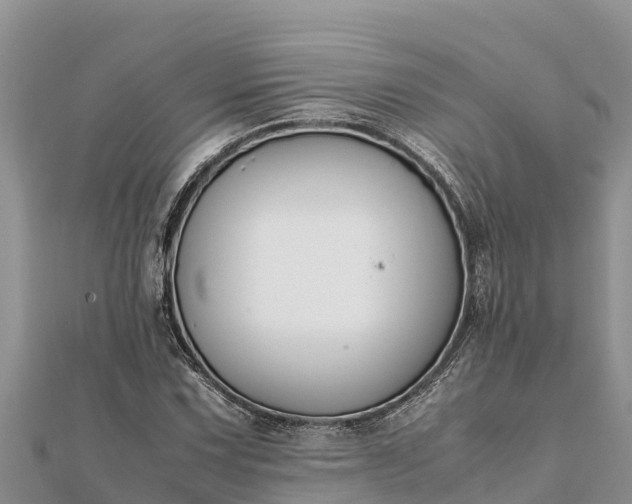 X0000112111067200908181342