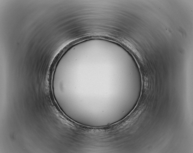 X0000112111068200908181342