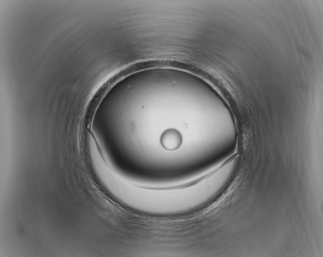 X0000112111069200908181342