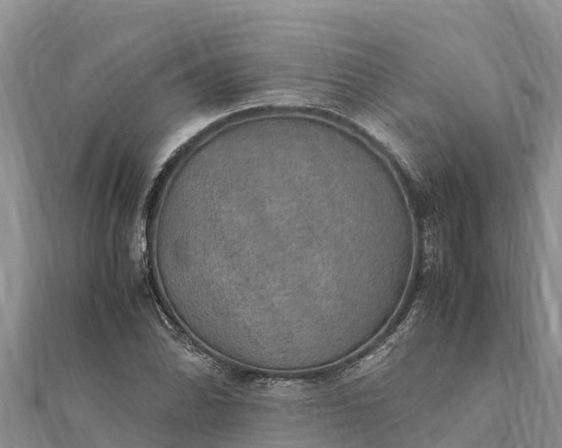 X0000112111070200908181342