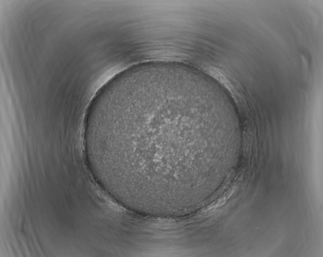 X0000112111071200908181342