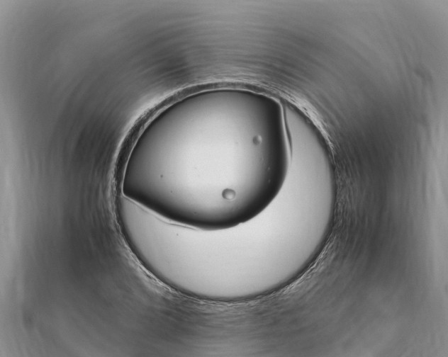 X0000112111072200908181342