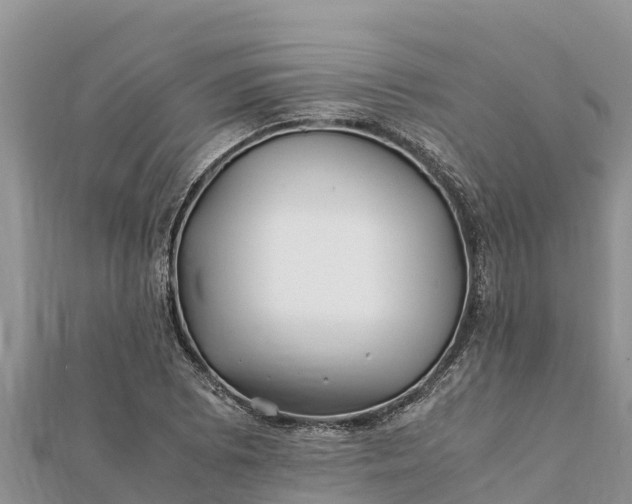 X0000112111073200908181342