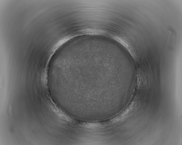 X0000112111074200908181342