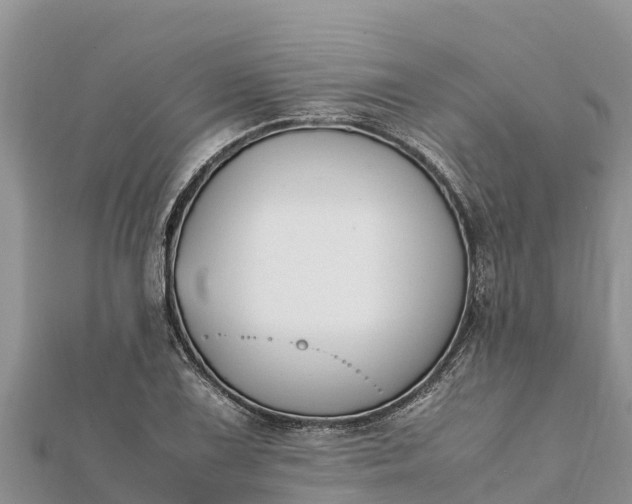 X0000112111075200908181342