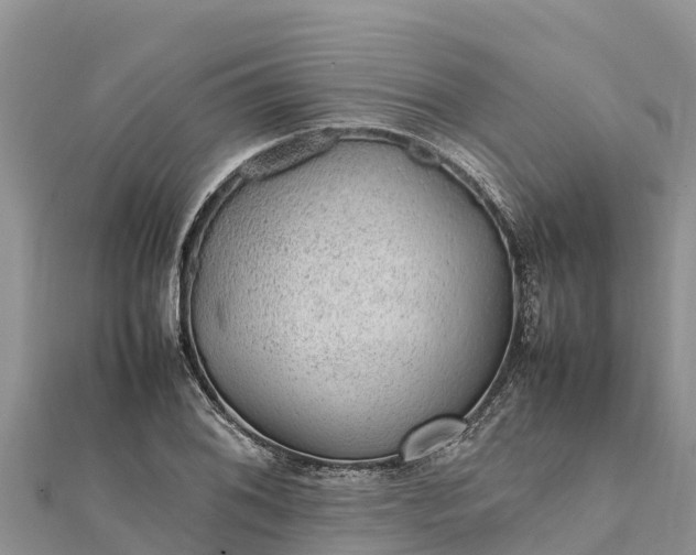 X0000112111076200908181342