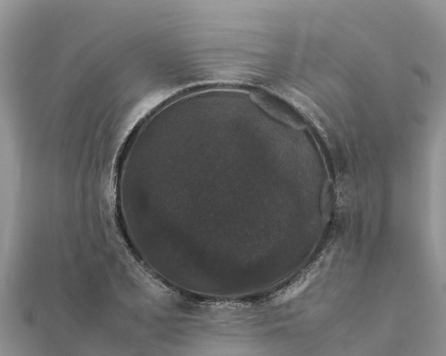 X0000112111077200908181342