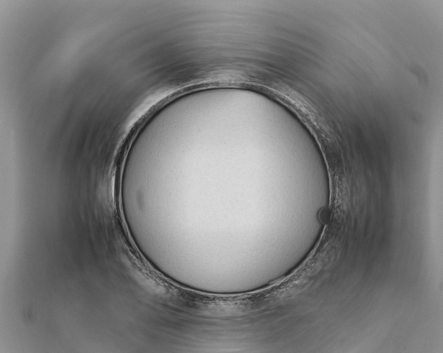 X0000112111078200908181342