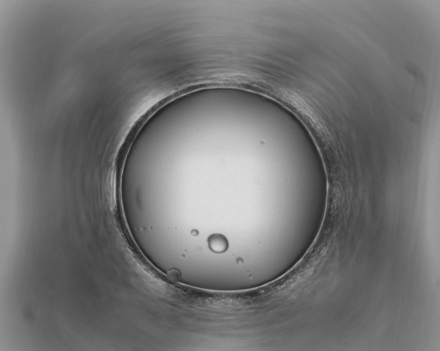 X0000112111079200908181342