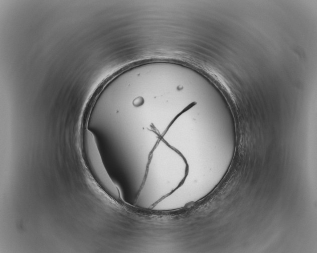 X0000112111080200908181342