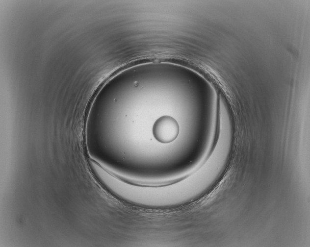 X0000112111081200908181342