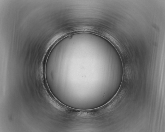 X0000112111082200908181342