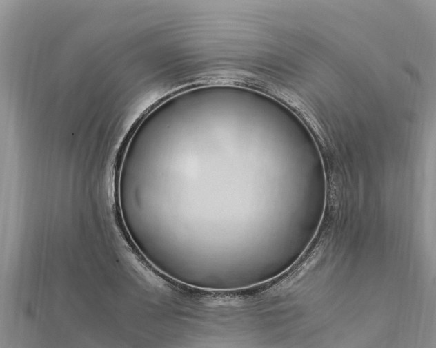 X0000112111083200908181342