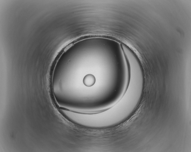 X0000112111085200908181342