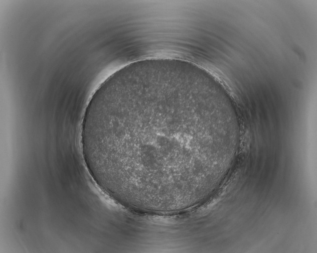 X0000112111086200908181342