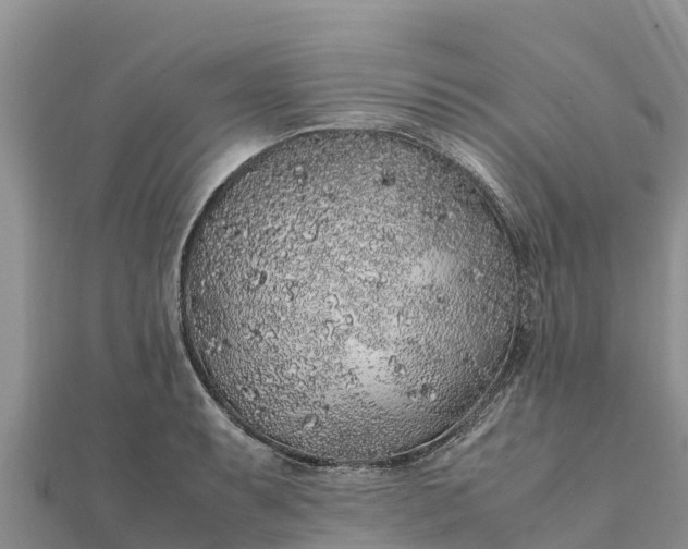 X0000112111087200908181342