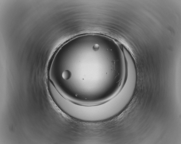 X0000112111088200908181342