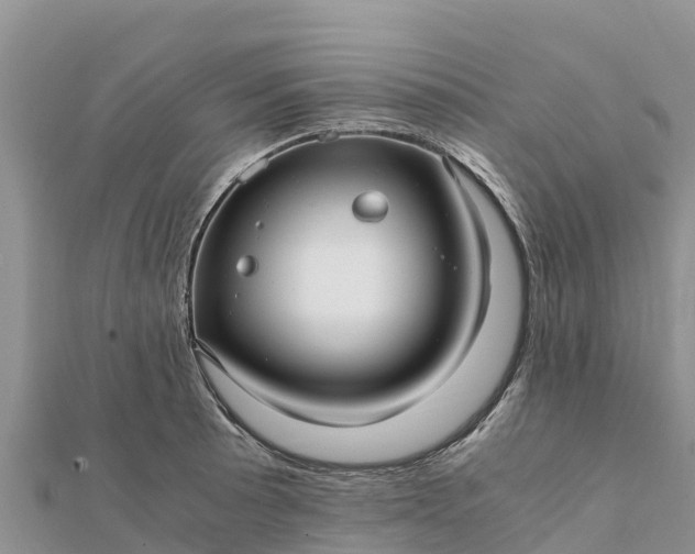 X0000112111089200908181342