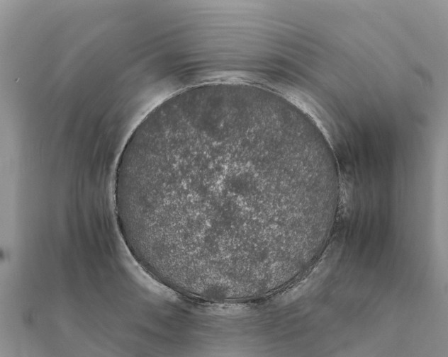 X0000112111090200908181342