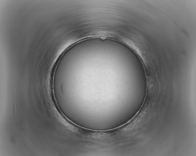 X0000112111091200908181342