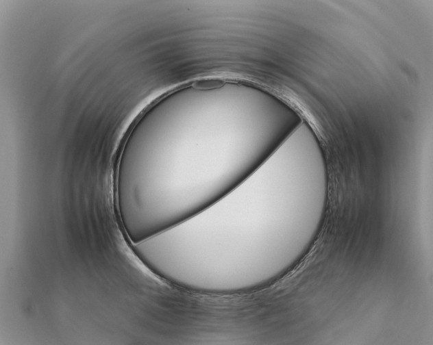 X0000112111092200908181342