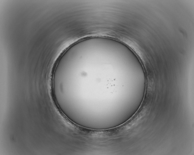 X0000112111093200908181342