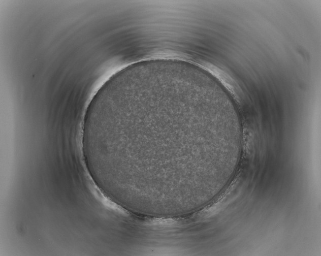 X0000112111094200908181342