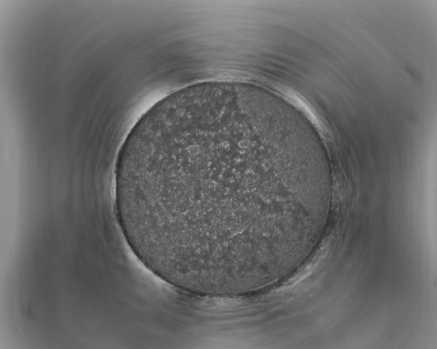 X0000112111095200908181342