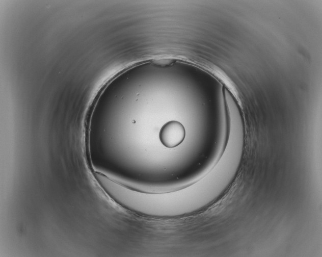 X0000112111096200908181342