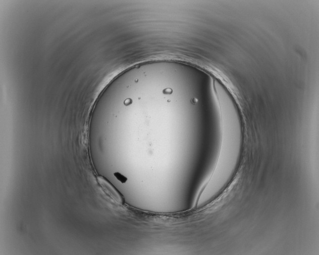 X0000112111097200908181342