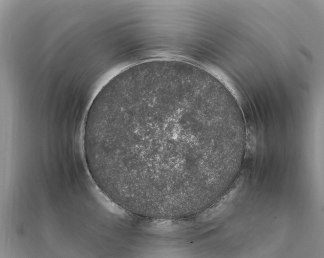 X0000112111098200908181342