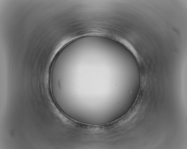 X0000112111099200908181342