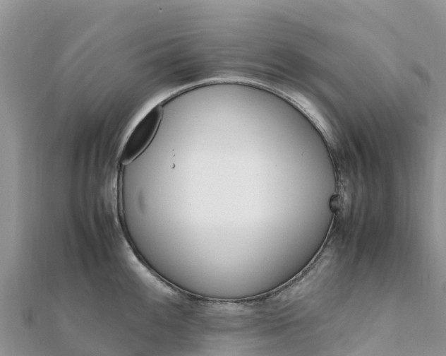 X0000112111100200908181342