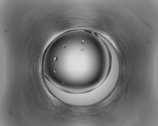 X0000112111101200908181342