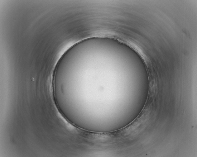 X0000112111103200908181342