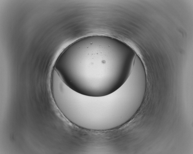 X0000112111104200908181342