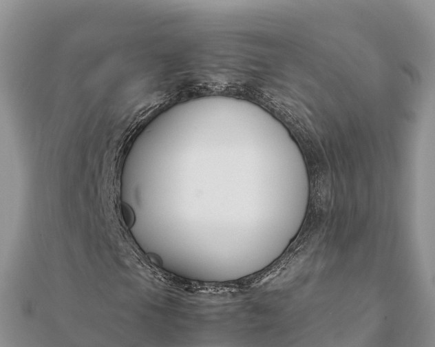 X0000112111105200908181341