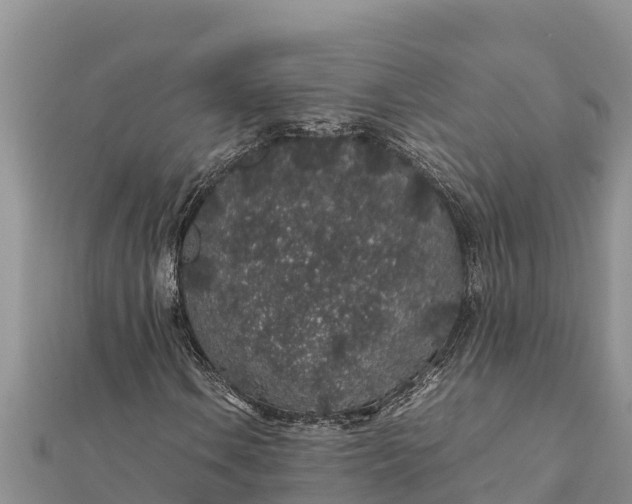 X0000112111106200908181341