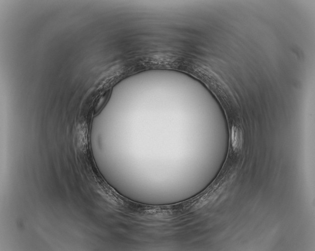 X0000112111107200908181341