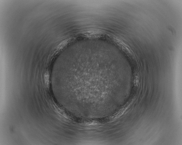 X0000112111108200908181341