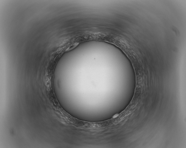 X0000112111109200908181341