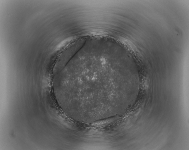 X0000112111110200908181341