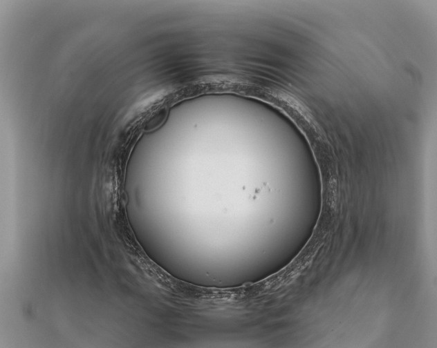 X0000112111111200908181341